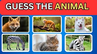 Guess the animal...Can you guess the animal...Ultimate challenge