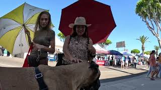 Cash 2.0 Great Dane at the Granada Hills street fair 2023 (8 of 10) by woof bark growl 5,859 views 3 weeks ago 16 minutes