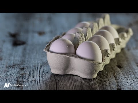 Egg Industry Response to Choline and TMAO