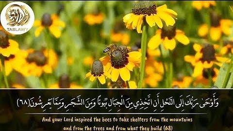 ما تيسر من سوره النحل بصوت الشيخ محمد محمود الطبلاوي ❤️