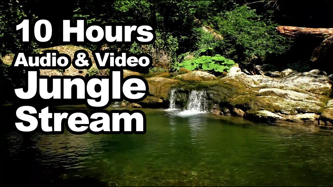Himalayan Bliss, 10 hours Jungle Stream Water Falls Sound, Tropical Forest, Relaxing Ambient Nature
