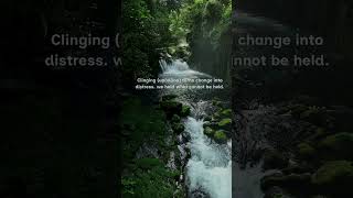 Buddha’s Teaching in One Insight | Not Belief, But Observation #wisdom #spirituality