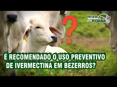 Vídeo: O Tratamento Com Fipronil E Ivermectina Em Bovinos Reduziu A Sobrevivência E O Desenvolvimento Ovariano De Anopheles Albimanus Coletados Em Campo Em Um Estudo Piloto Realizado No N