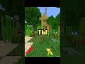 ЕСЛИ Я УГАДАЮ ИЗ КАКОЙ ТЫ СТРАНЫ ТО ТЫ ПОДПИШЕШСЯ!!! #майнкрафт #minecraft