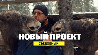 НОВЫЙ ПРОЕКТ