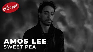 Amos Lee - Sweet Pea (live #MicroShow performance for The Current)