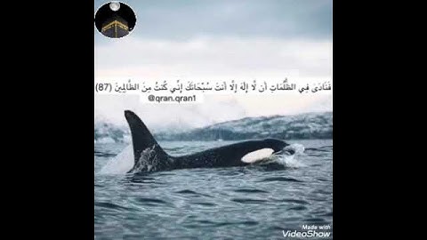 ما هذا الابداع؟!|تلاوة باكية اسيفه يحبرها الشيخ د. ماهر المعيقلي