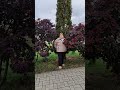 #осень #лесной
