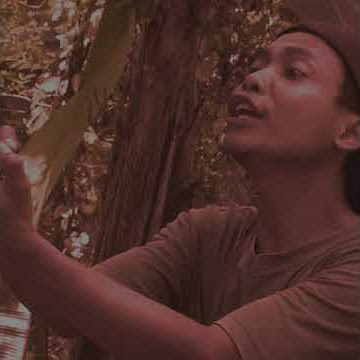 pesan nya mas gombes #wagundeso storywa #storywa