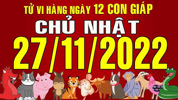 Tử vi Phương Đ6ng, hàng ngày, Chủ Nhật, (27-11-2022) của 12 con giáp, chi tiết, chuẩn xác & đầy đủ.