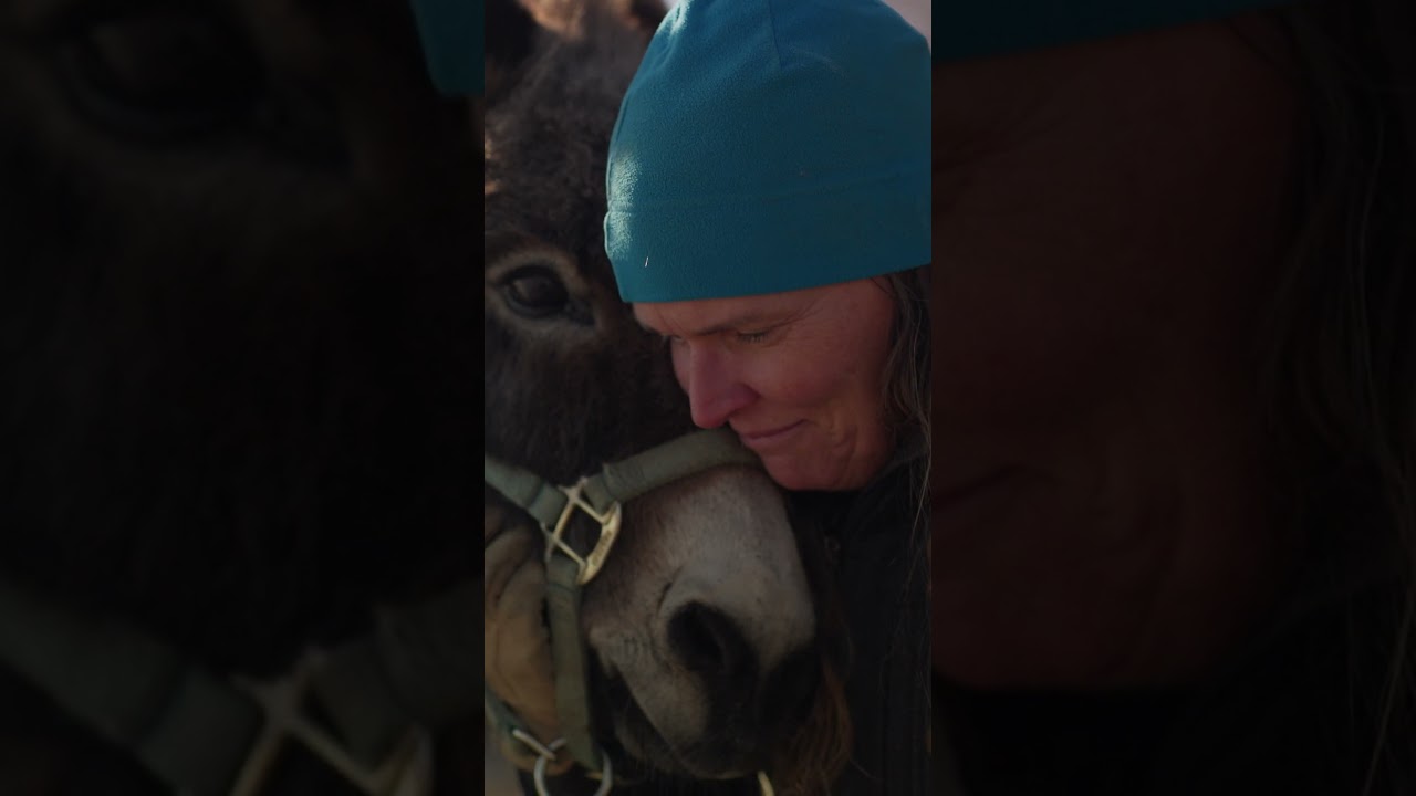 50 states, 50 stories of businesses using Google Workspace with Gemini.