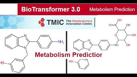 Biotransformer Metabolism Prediction Online Web Server #pharmacy #chemistry @MajidAli2020