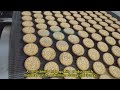 Full Automatic Soft Biscuit Production Line | 1000-2500kg/h Turnkey Solution | SKYWIN Machinery