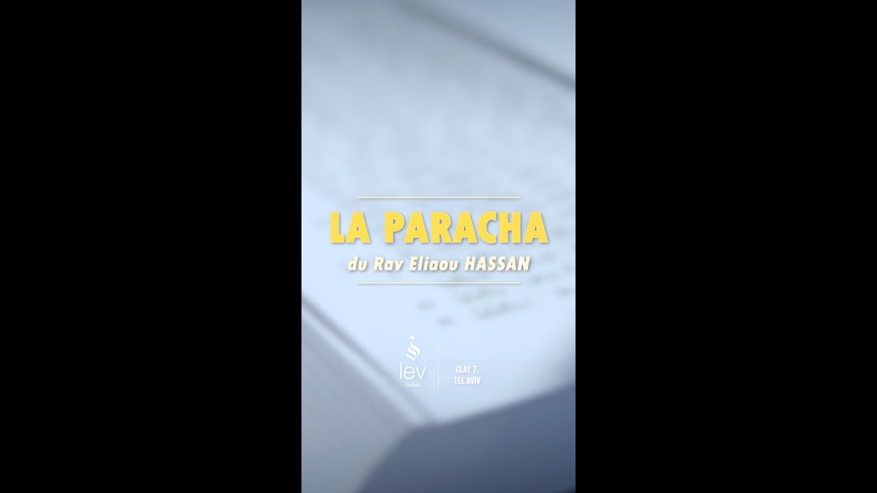Paracha Vayigach – « Ani Yossef » : quand tout devient clair | Rav Hassan