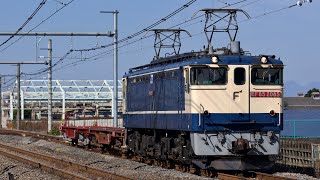 8764レ EF65 2085+コキ 岡部〜深谷間通過