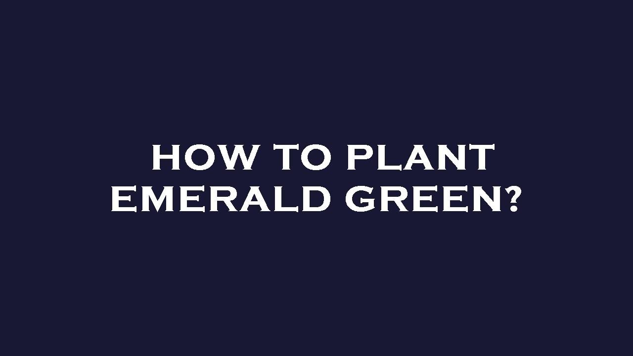How to plant emerald green? YouTube