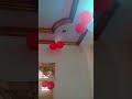 anniversary celebration #princesssingh #spicygirl #shorts #viralshorts #ytshorts #anniversary