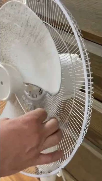 From Dust Magnet to Cool Breeze: My Pedestal Fan Makeover!