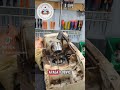 motoguadaña prende y se apaga #mecanica #chainsaw #taller #stihl #tips #viral #motores #herramientas