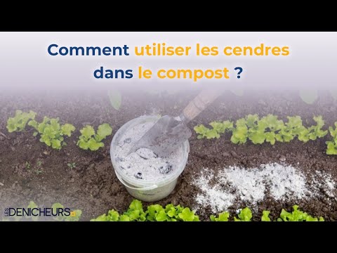 Vidéo: Cendres de charbon de bois dans le compost pour les odeurs - Conseils sur l'utilisation du charbon actif dans le compost