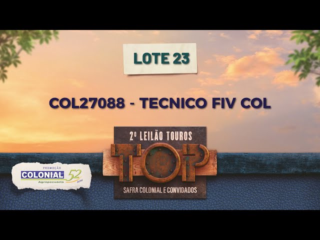 LOTE 23 COL 27088