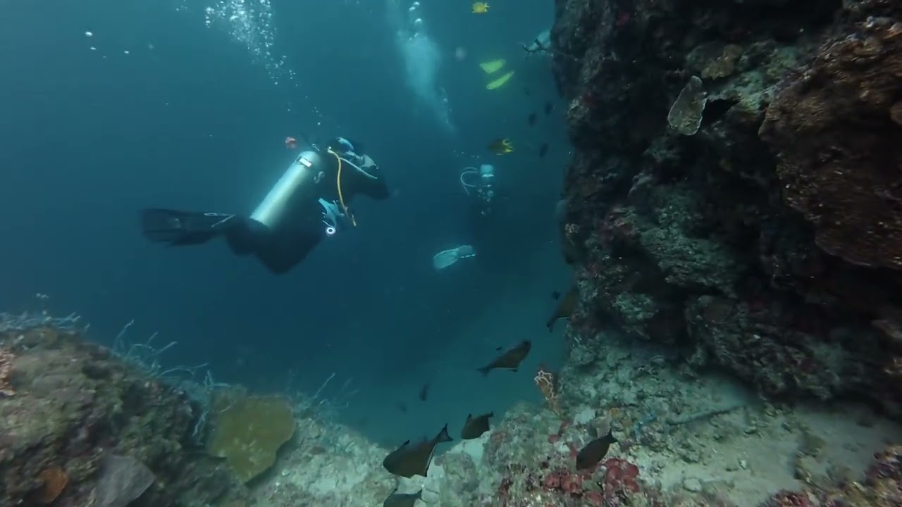 Wall diving in Bauan , The Pinnacle dive site