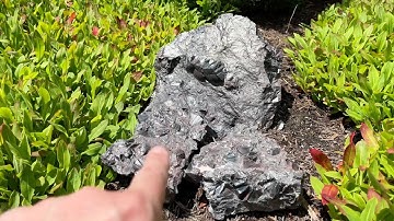 Look At This Rock 287