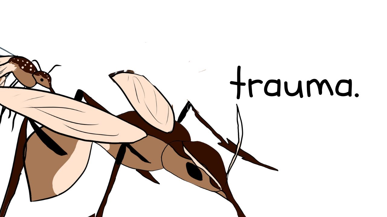 Опыт с комарами