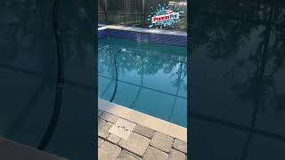 Pool Paver Sealing in Riverview FL | Hawk’s Fern Pool Deck Transformation