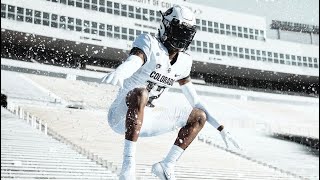 AVERAGE HEIGHT & WEIGHT OF D1 WR