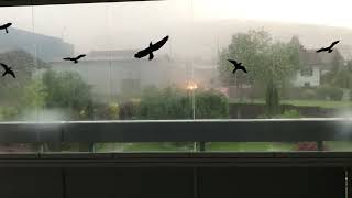 Kleine Kräftige Gewitterzelle Samstag 18. Mai 2024