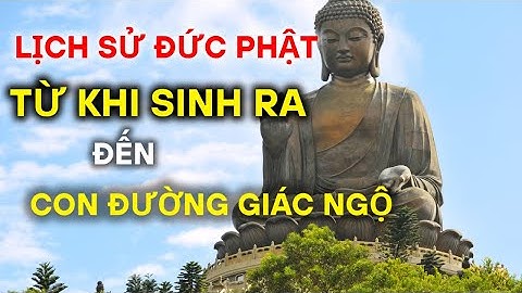 Cuộc Đời Đức Phật: Từ Hoàng Tử Tất Đạt Đa Đến Bậc Giác Ngộ Vĩ Đại !