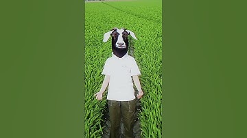 Thumbnail of now i know what's real what's fake #tiktok #dreamcore