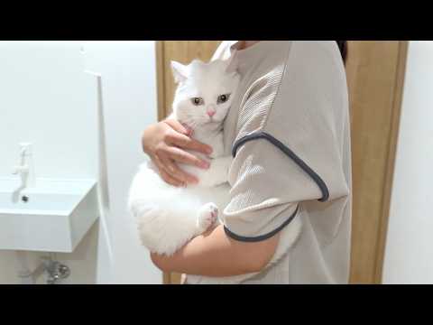 We Took Pomu for the Checkup We'd Been Worried About - YouTube