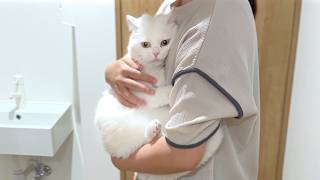 心配していたポムさんの定期検診に行ってきました