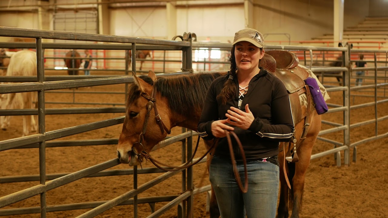 NJC Equine Management Program - Created by Will Ross