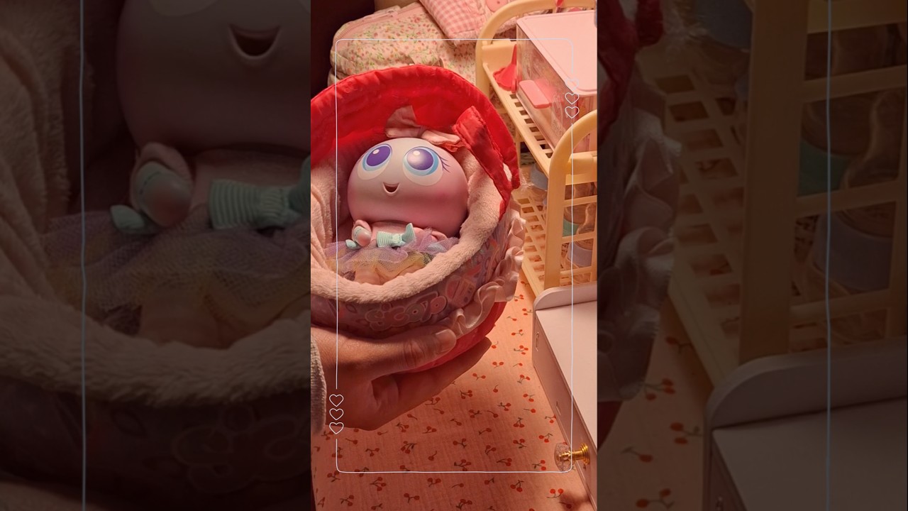 Arreglando a mi ksi-merita para su paseo 