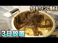 タコをパイナップルに埋めて3日放置したら今までみたことない形のタコが出てきた！！！！