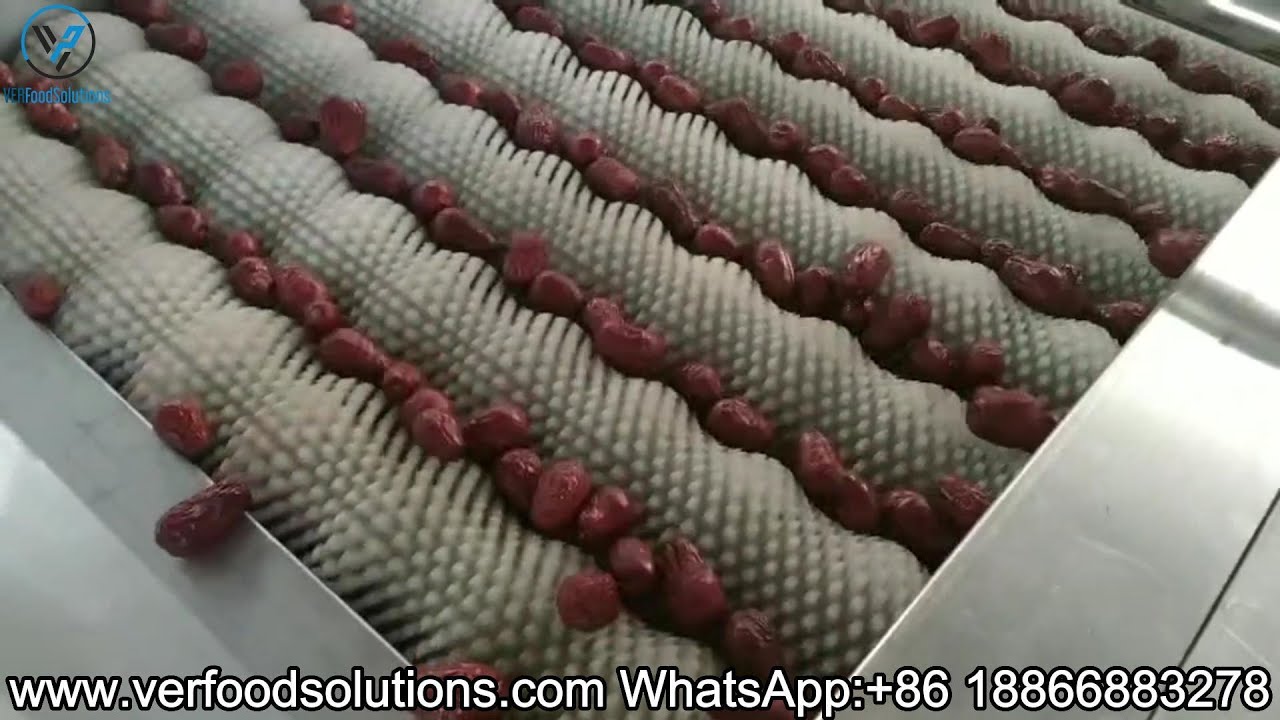 Dry Dates Horizontal Brush Washing Machine - YouTube