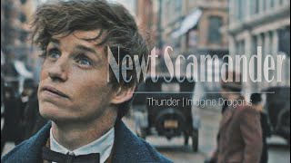 Newt Scamander || Thunder - Imagine Dragons