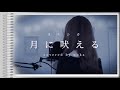 【新曲】月に吠える/ヨルシカ(歌詞付き・ハモリ・女性カバー)歌ってみた covered by noka