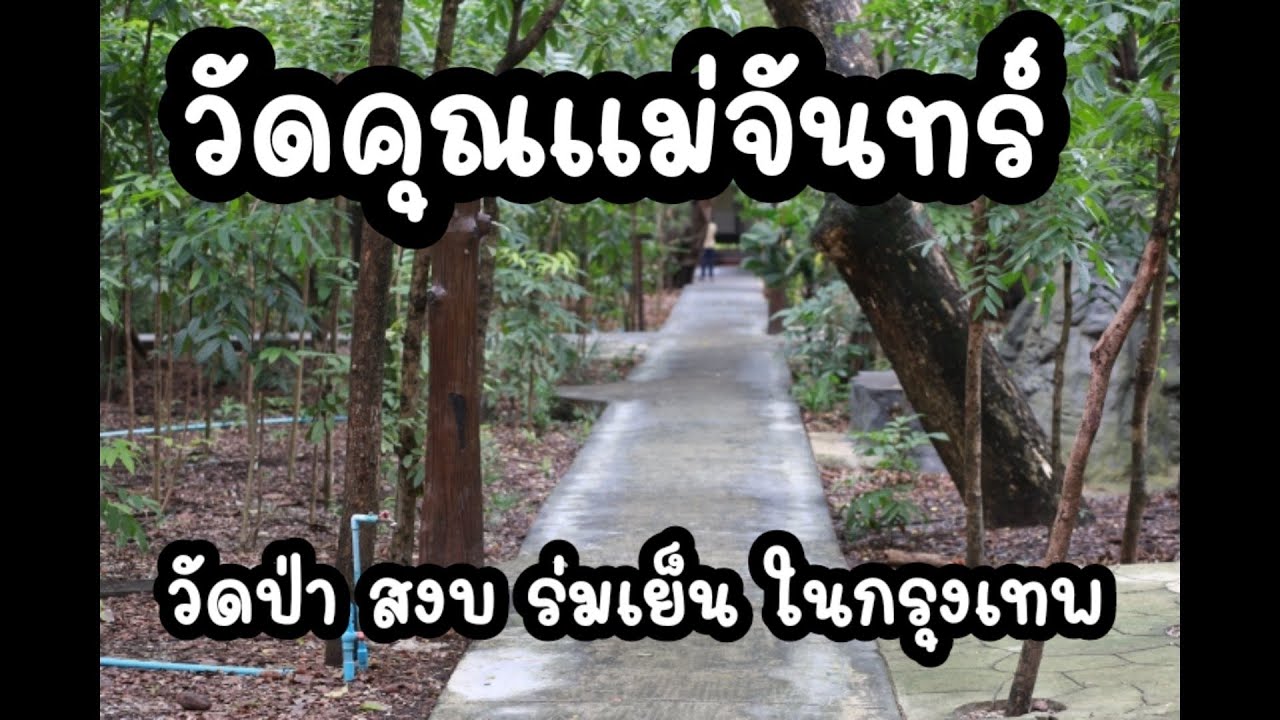 ภูภู - พาขวัญ ไปทำบุญ วันเกิด ที่ วัดคุณแม่จันทร์ วัดป่า ในกรุงเทพ (สงบ ร่มรื่นมาก) #วัดคุณแม่จันทร์ - YouTube