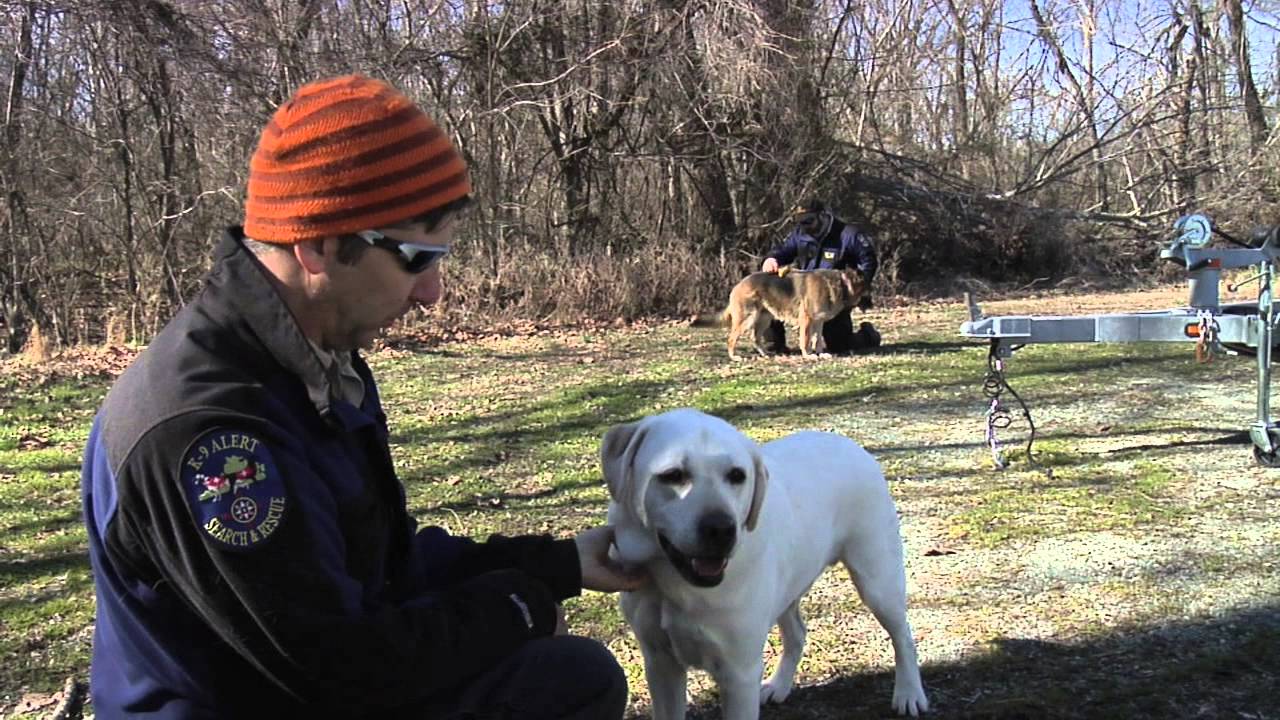 K9 Alert VaCurrents 041212