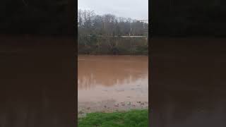 Logroño  Rio Ebro,