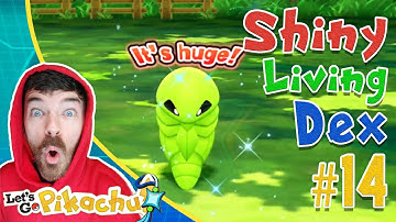 RANDOM SHINY KAKUNA LIVE REACTION! Pokemon Let