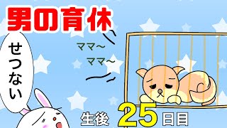 【男性の育休】面会は1日1回1時間以内片親のみ【育児漫画】生後25日目・入院5日目・術後3日目