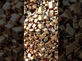 Gold is Best