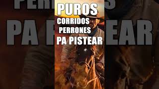 Corridos Rancheras Perrones - Corridos Con Banda Para Pistear - Puros Corridos Viejitos Mix 2024