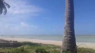 Passeio de Bugg pela Praia de São Miguel dos Milagres - ALAGOAS