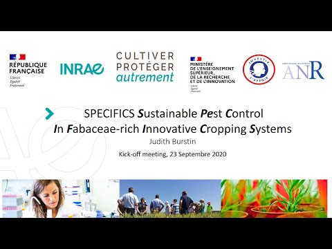 projet PPR SPECIFICS : systèmes de culture sans pesticides et riches en légumineuses à graines